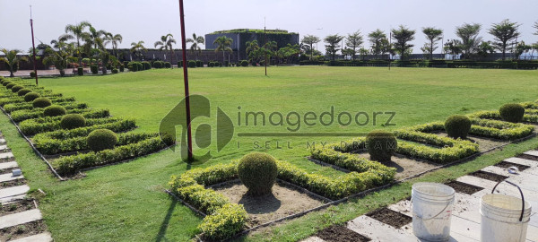 Rooftop Garden in BD_Mahbub