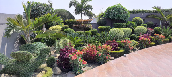 Rooftop Garden in BD_Mahbub