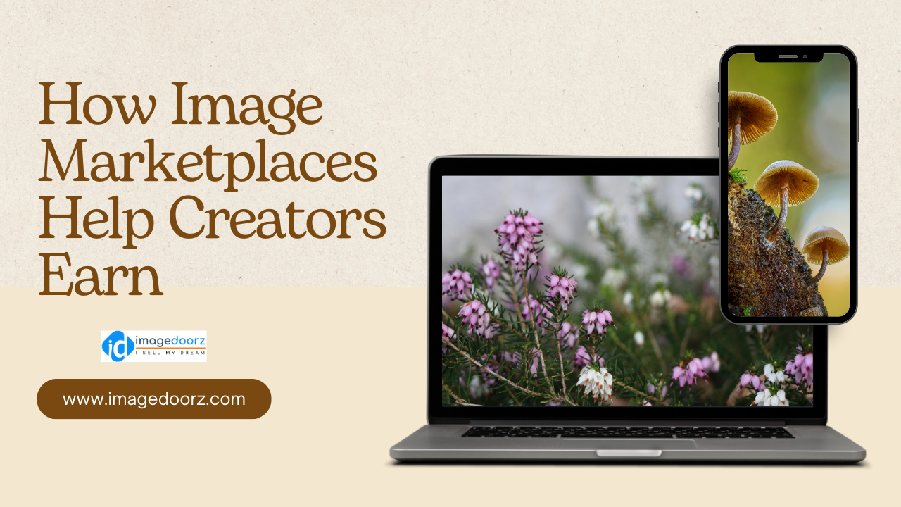 How Image Marketplaces Help Creators Earn