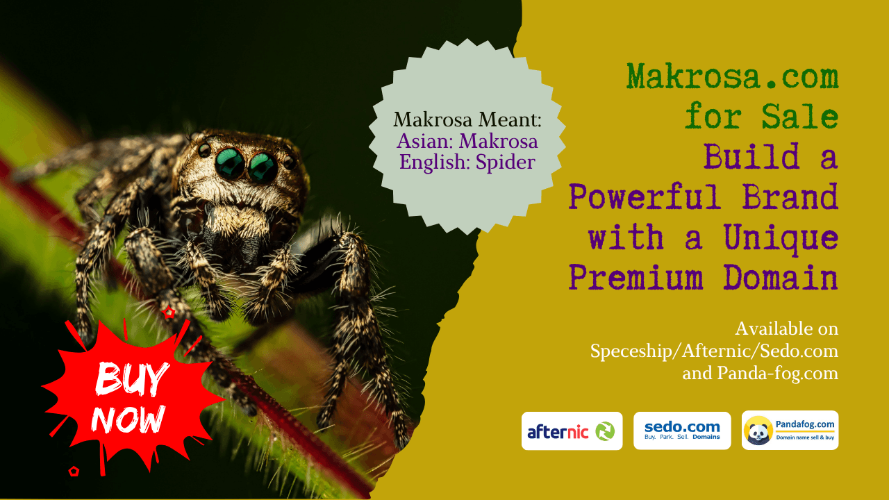 Makrosa.com for Sale  A Premium Brandable Domain for Creative Businesses